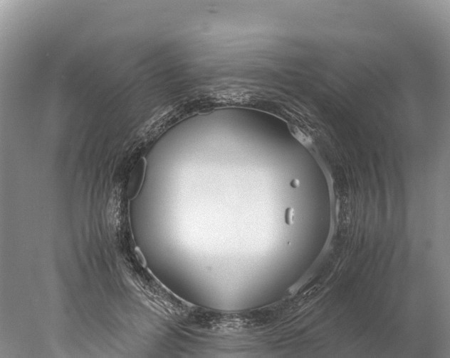 X0000077990600200611171756