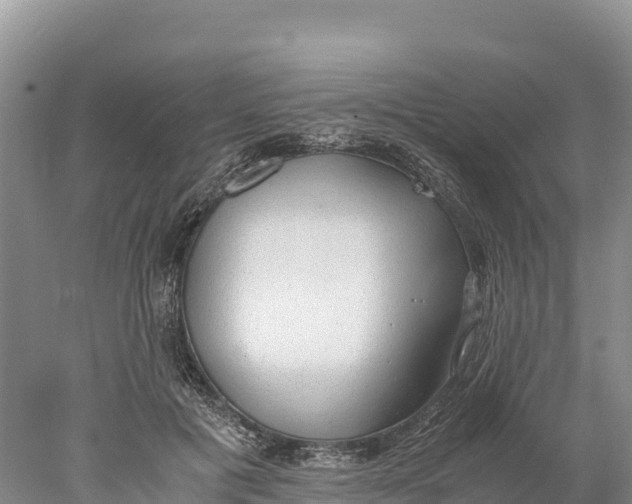 X0000077990601200611171756