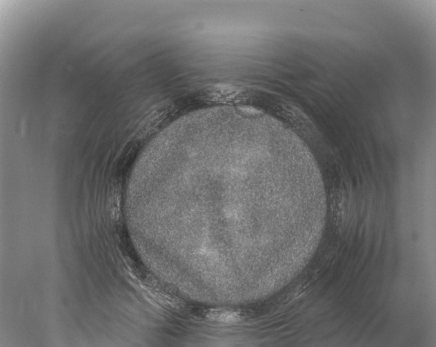 X0000077990602200611171756