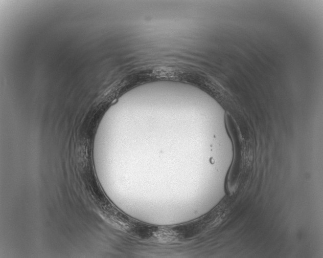 X0000077990603200611171756