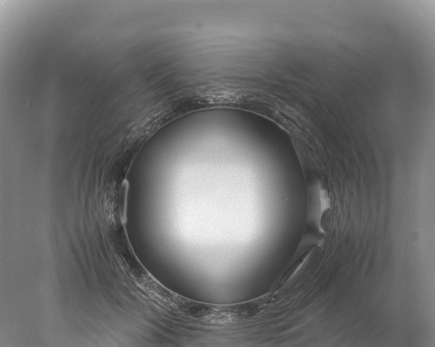 X0000077990604200611171756