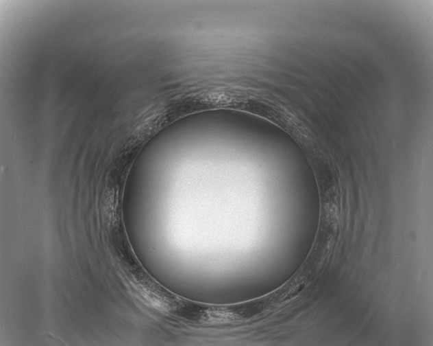 X0000077990605200611171756