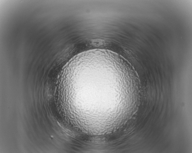 X0000077990606200611171756