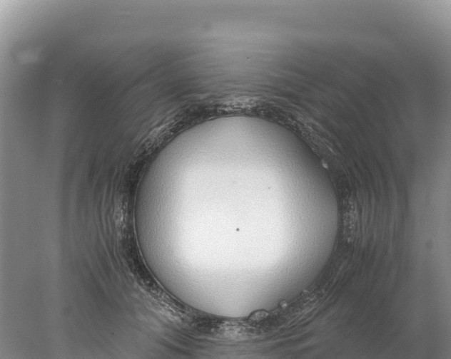 X0000077990608200611171756