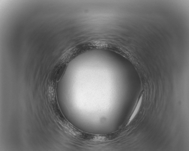 X0000077990609200611171756