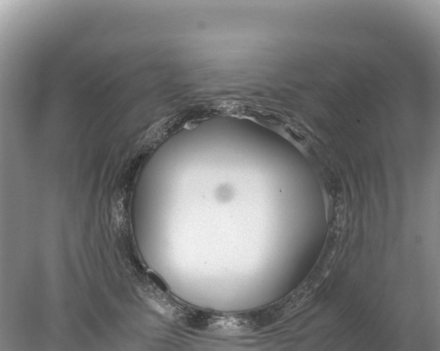 X0000077990611200611171756