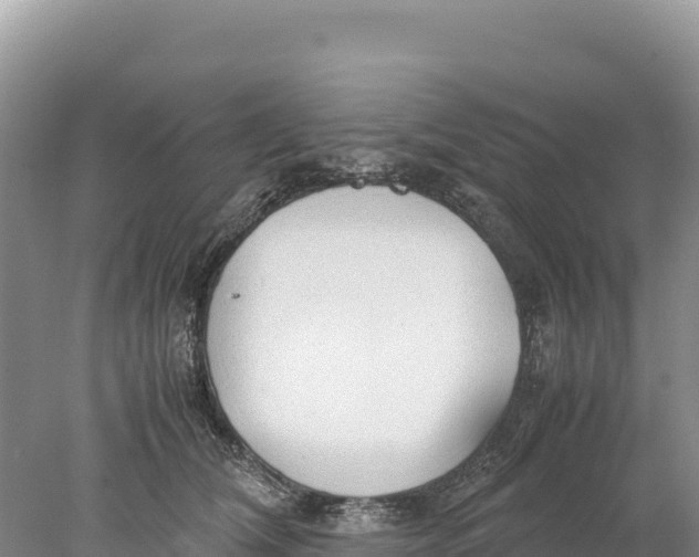 X0000077990612200611171756