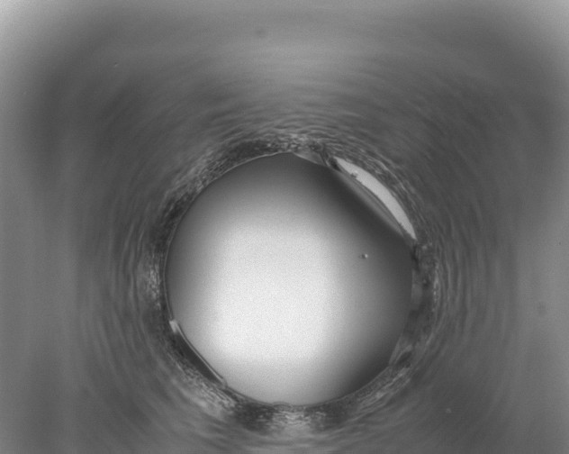 X0000077990613200611171756