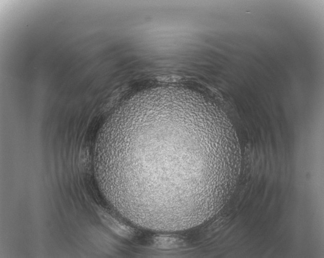 X0000077990614200611171756