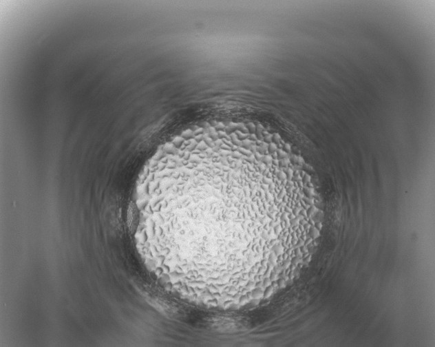 X0000077990615200611171756