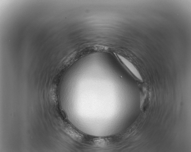 X0000077990616200611171756