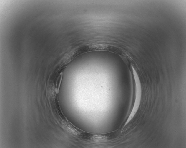 X0000077990617200611171756