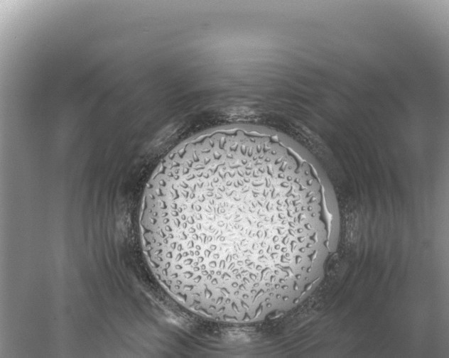 X0000077990618200611171756