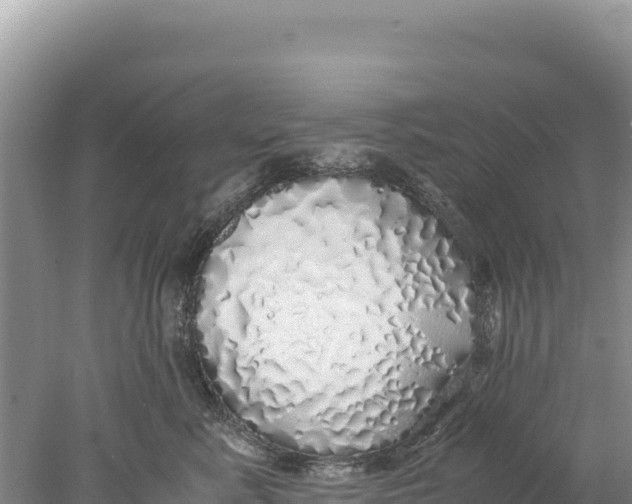 X0000077990619200611171756