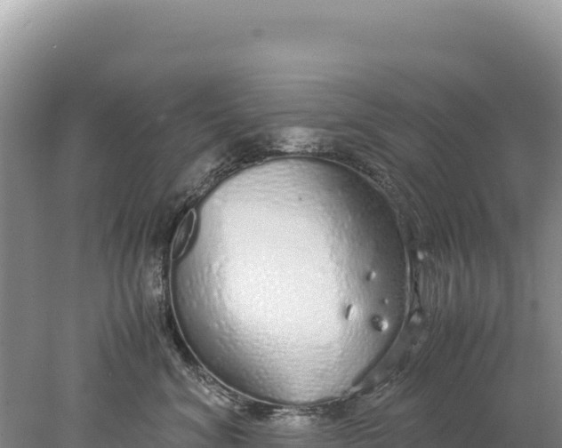 X0000077990620200611171756