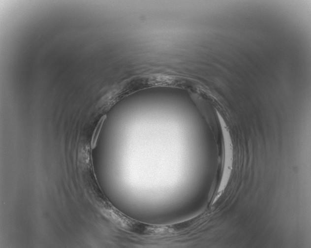 X0000077990621200611171756