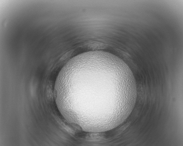 X0000077990622200611171756