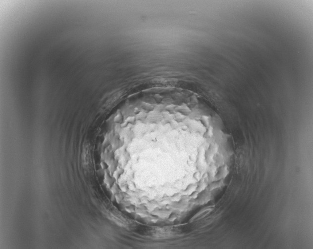 X0000077990623200611171756