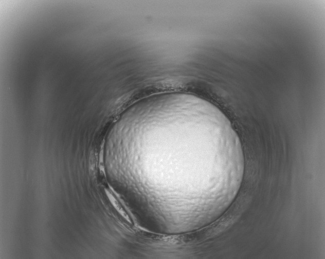 X0000077990624200611171756