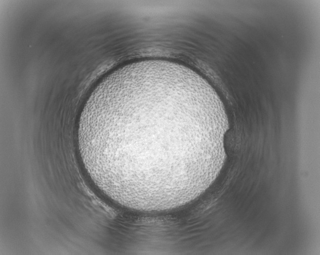 X0000077990625200611171755