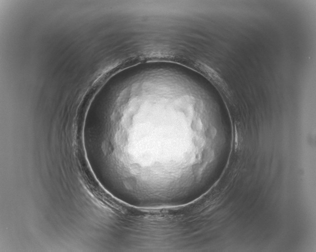 X0000077990627200611171755