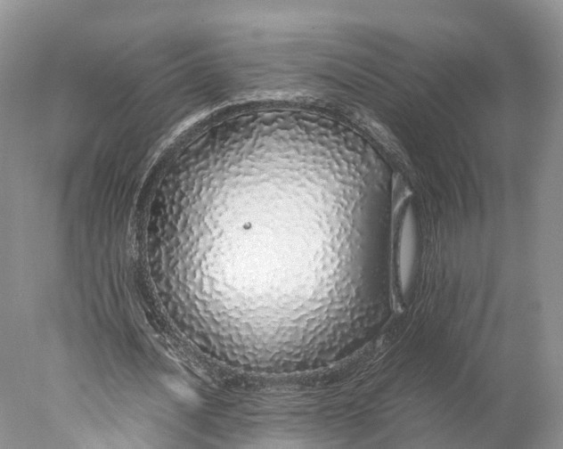 X0000077990628200611171755