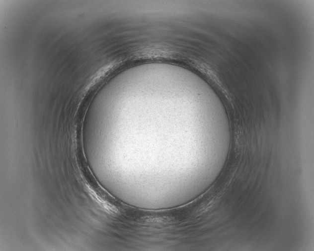 X0000077990629200611171755