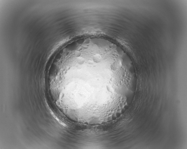 X0000077990630200611171755