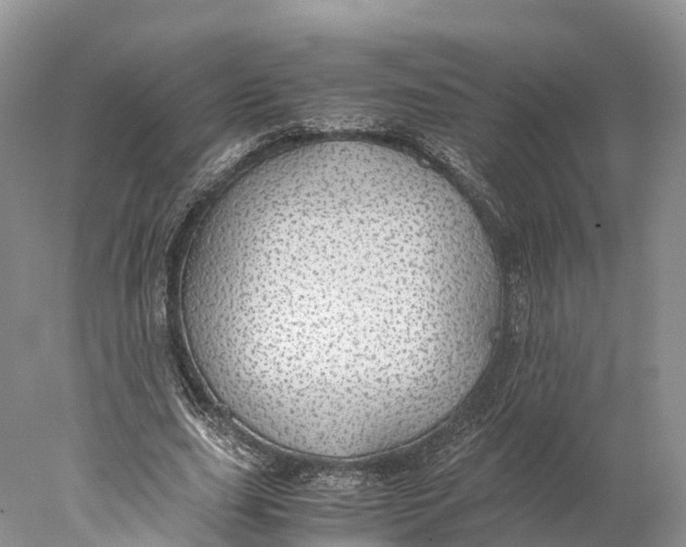 X0000077990631200611171755