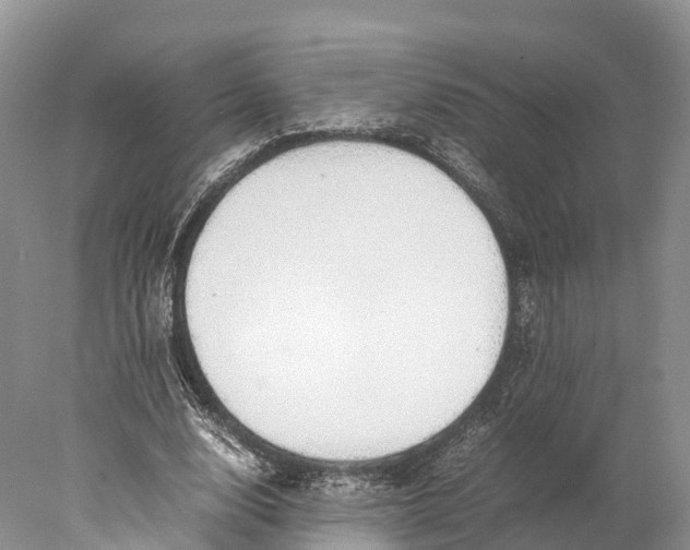 X0000077990632200611171755