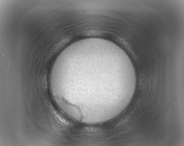 X0000077990633200611171755