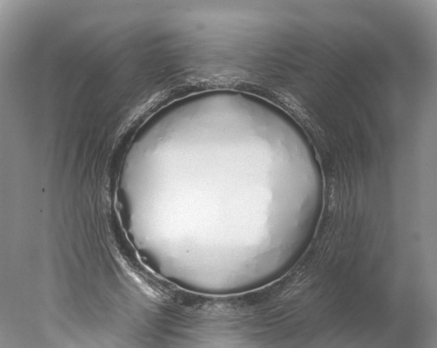 X0000077990634200611171755