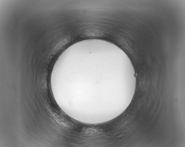 X0000077990635200611171755