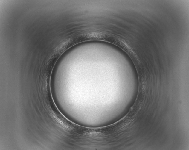 X0000077990637200611171755