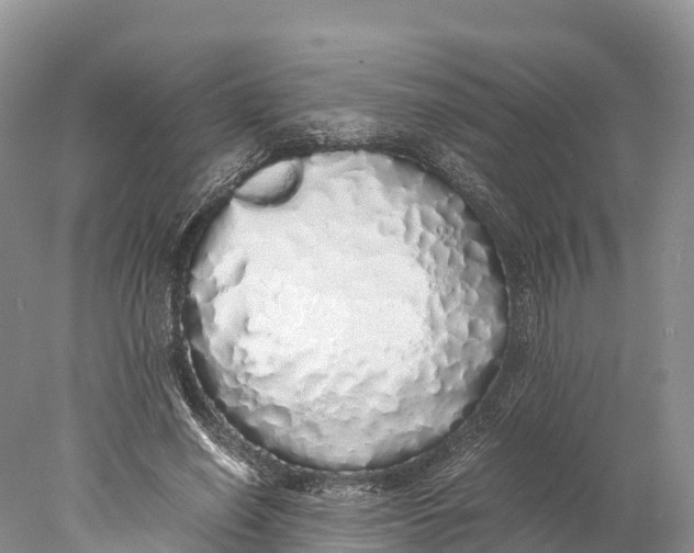 X0000077990638200611171755