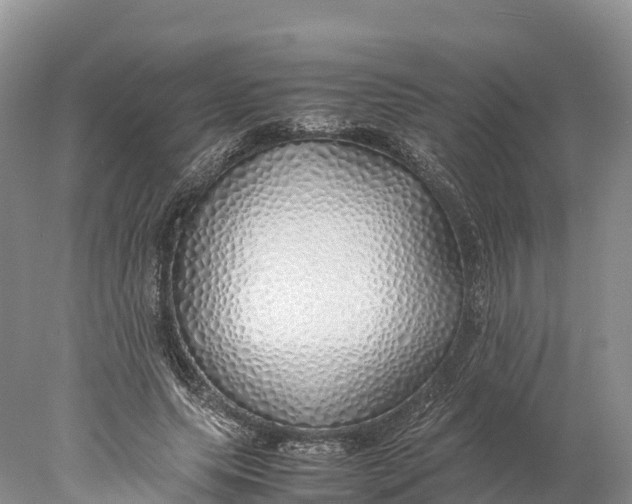 X0000077990639200611171755