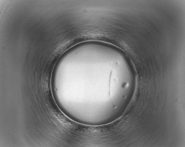 X0000077990640200611171755