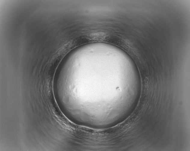 X0000077990641200611171755