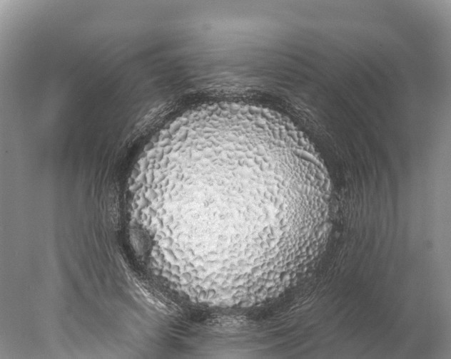 X0000077990642200611171755