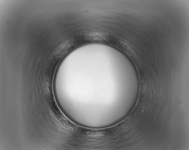 X0000077990643200611171755