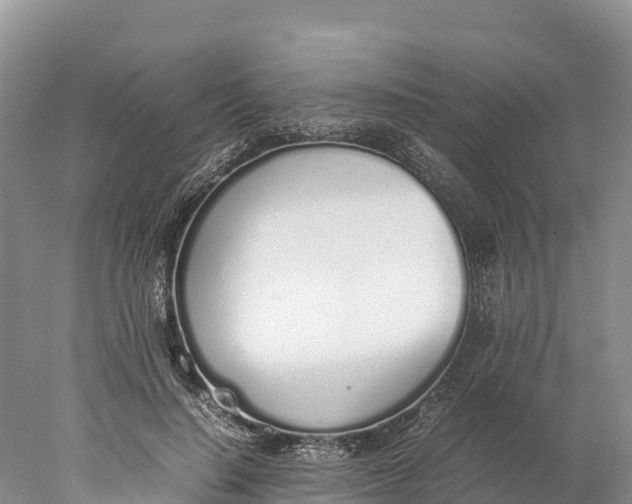 X0000077990644200611171755