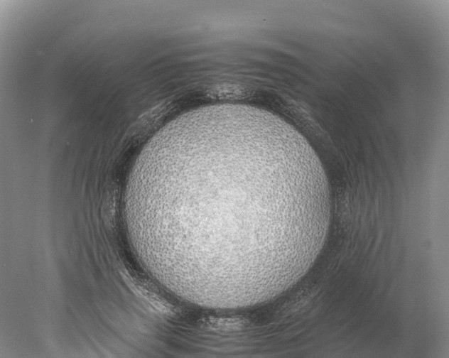 X0000077990645200611171755