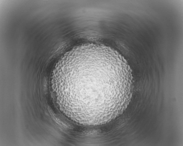 X0000077990646200611171755