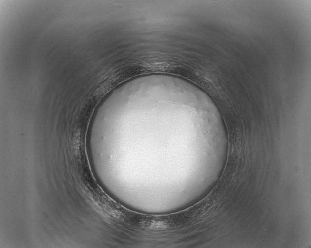 X0000077990647200611171755