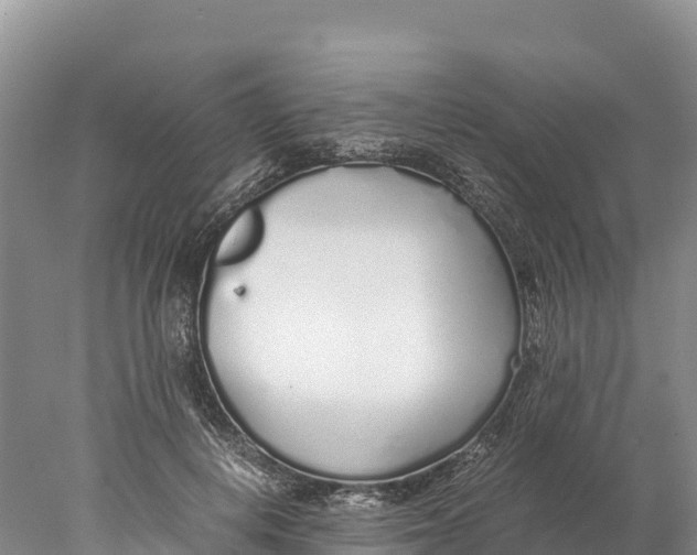 X0000077990648200611171756