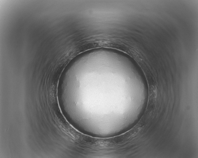 X0000077990650200611171756