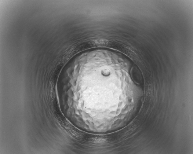 X0000077990651200611171756