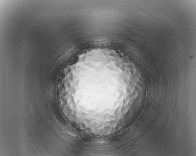 X0000077990652200611171756