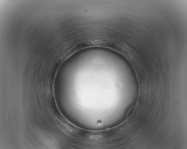 X0000077990653200611171756