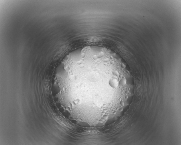 X0000077990654200611171756